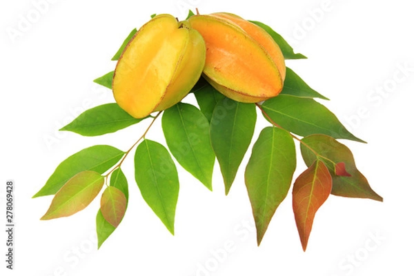 Obraz Carambola or star apple ( starfruit ) on isolate white background,Close up healthy carambola or star apple food isolated. 