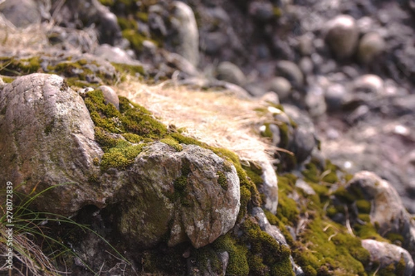 Obraz Détail roche Ecosse