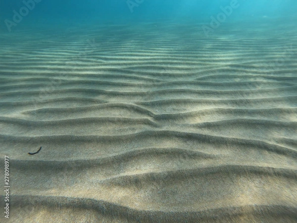 Obraz underwater waveform