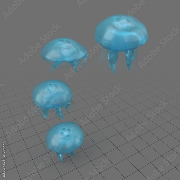 Obraz Aurelia jellyfish