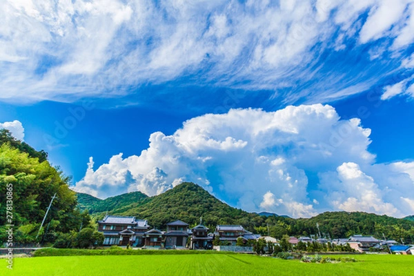 Obraz 日本の夏 8月撮影 入道雲 積乱雲 田んぼ