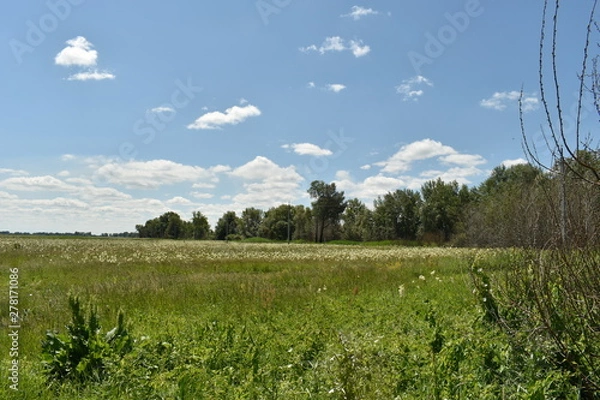 Obraz Green field and blue sky