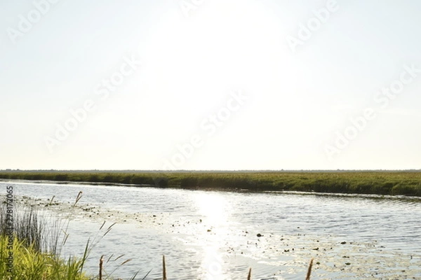 Obraz dawn on the far drive