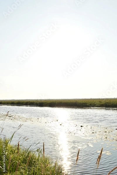 Obraz dawn on the far drive