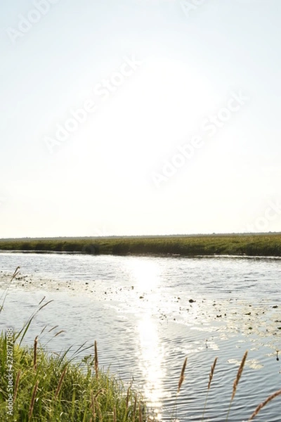 Obraz dawn on the far drive