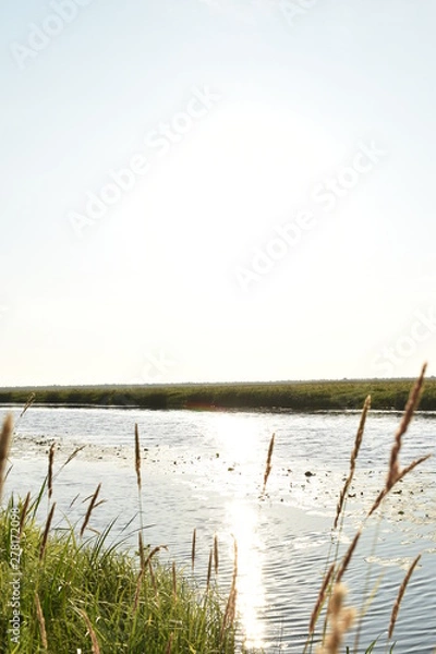 Obraz dawn on the far drive