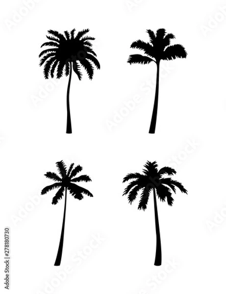 Obraz Vector Coconut palm tree silhouette icon on white.