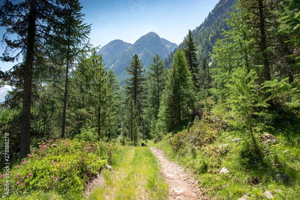Obraz Berglandschaft