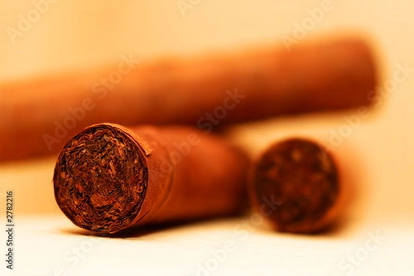 Obraz havana cigars 1