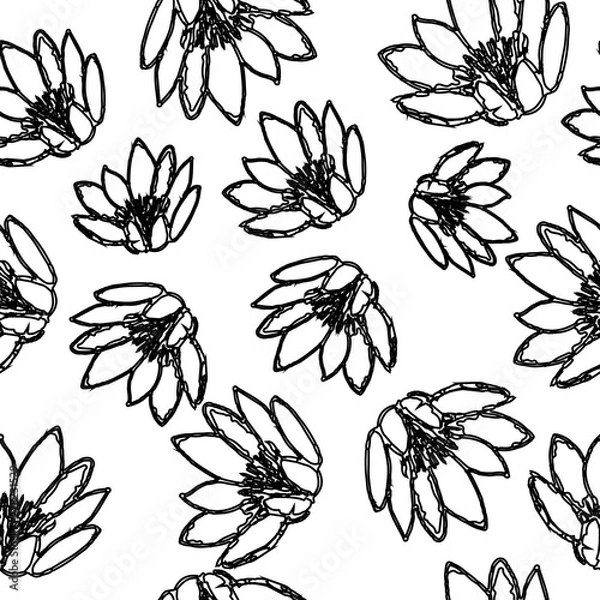 Obraz Water Lily Pattern Hand Drawn