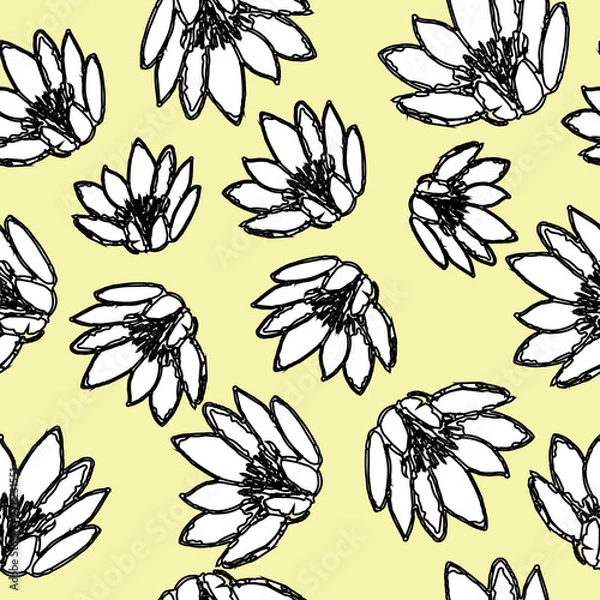 Obraz Water Lily Pattern Hand Drawn