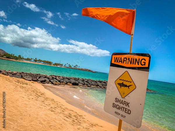 Fototapeta A Sign and Orange Caution Flag Warning of a Shark in the Water at a Beach in Oahu Hawaii - with the Ocean in the Background on a Bright, Sunny Day