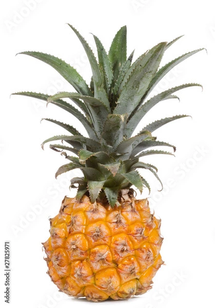 Fototapeta pineapple