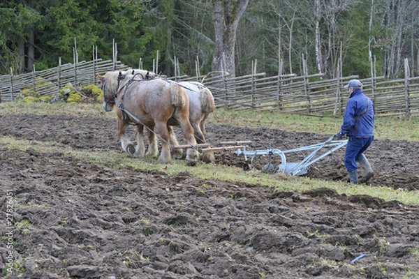 Obraz Ploughing with horses