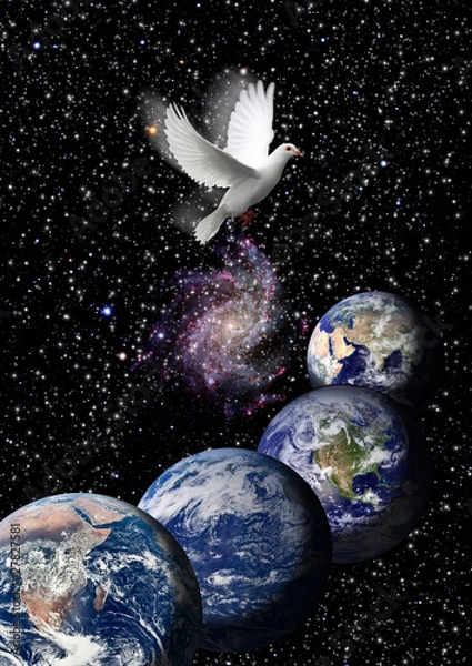 Obraz la colomba della pace
