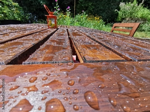 Fototapeta railway in the forest