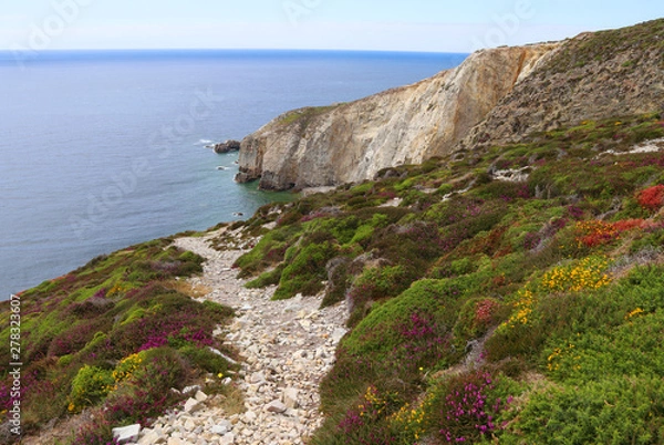 Fototapeta Cap de la chèvre