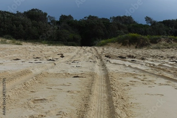 Fototapeta four wheel drive tire marks in sand