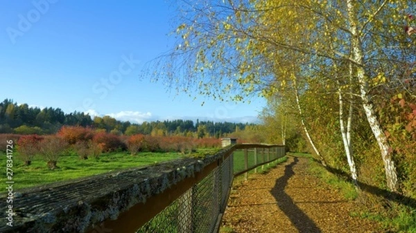 Obraz road in the countryside