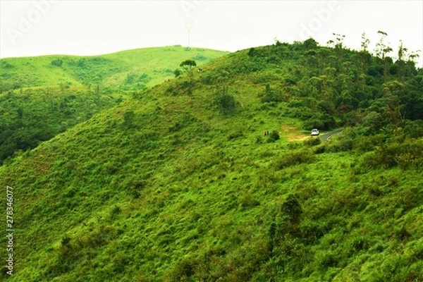 Fototapeta Meadow at Gavi, a remote villege in Periyar Tiger Reserve. Pathanamthitta district in Kerala, India