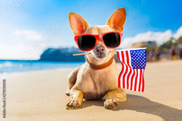 Obraz surfer dog  at the beach