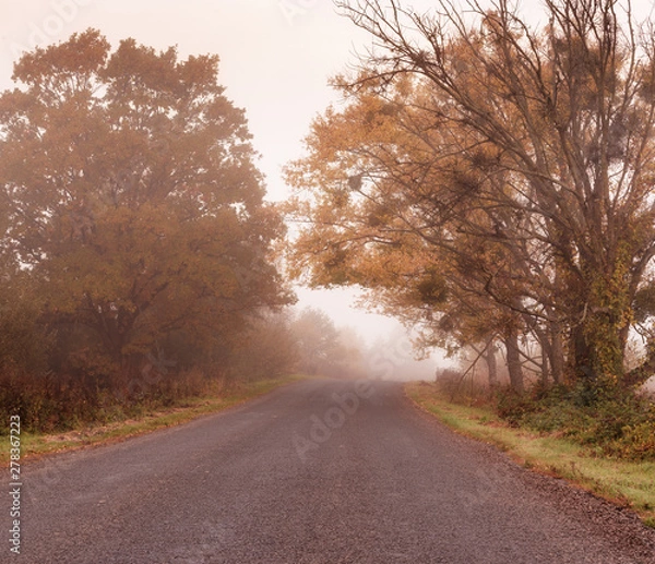 Fototapeta Road to the fog