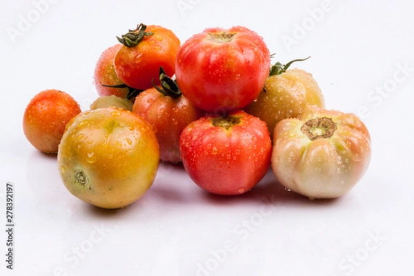 Obraz Red tomatoes - white background.