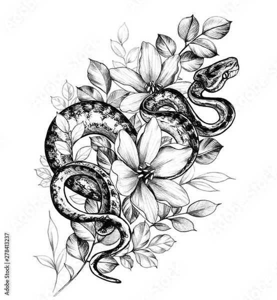 Fototapeta Hand Drawn Monochrome Creeping Python and Flowers