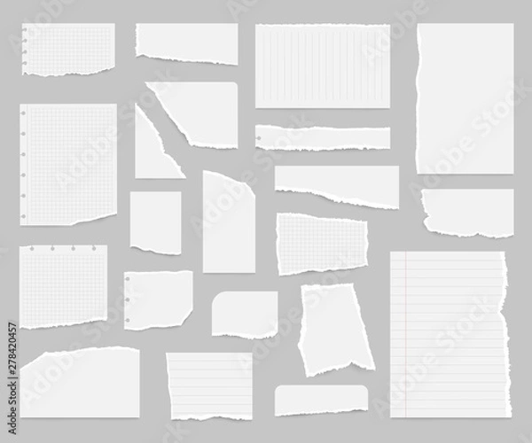 Fototapeta Realistic Detailed 3d Paper Scraps Set. Vector