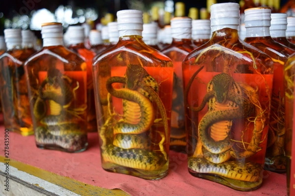 Obraz cobra liquor in bottles in a Laos market