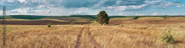 Fototapeta Panoramic landscape of central Russia agricultural countryside with hills and country road. Summer landscape of the Samara valleys. Russian countryside. High resolution file for large format printing.