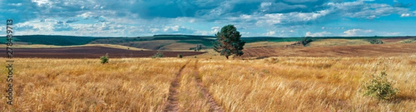 Obraz Panoramiczny krajobraz rolniczej wsi środkowej Rosji ze wzgórzami i wiejską drogą. Letni krajobraz dolin Samary. Rosyjska wieś. Plik o wysokiej rozdzielczości do druku wielkoformatowego.