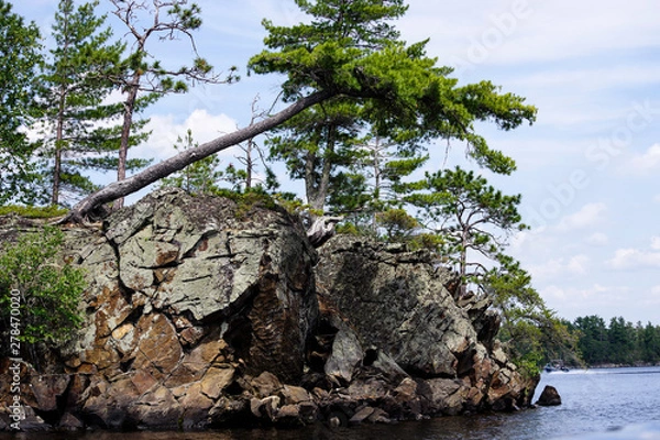 Fototapeta rocks and trees