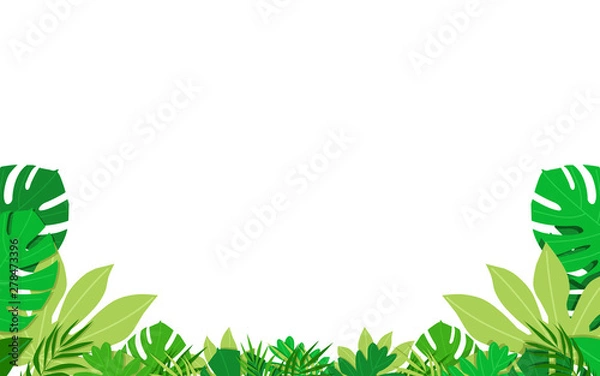 Fototapeta Tropical leaves lay out in simple style for frame in white background. Flat design vector illustration.