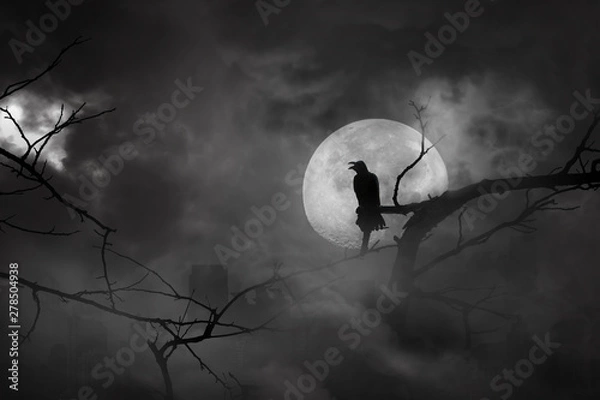 Fototapeta Silhouette of crow perched on tree branches in city abandonment and moon at midnight with bright and dark clouds, concept of scary and horror