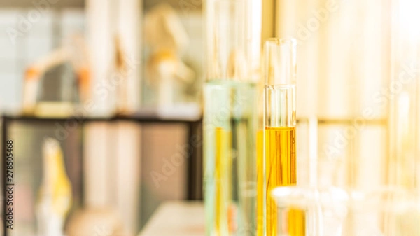 Fototapeta Test tube and scientist equipment in modern science laboratory