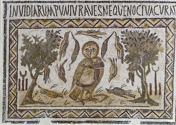 Obraz Roman mosaics