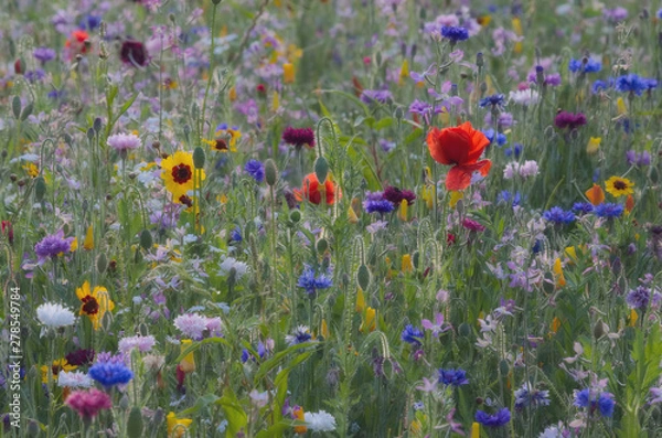 Fototapeta Masa kolorów