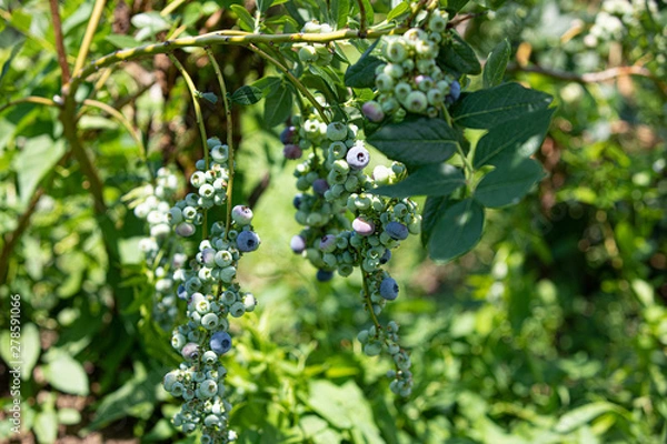 Obraz www.josechavezphotography.com