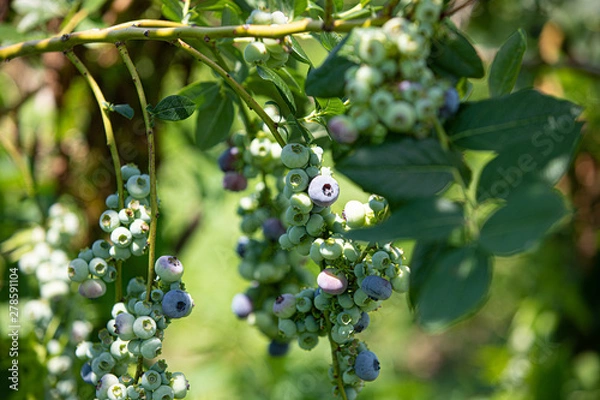 Obraz www.josechavezphotography.com