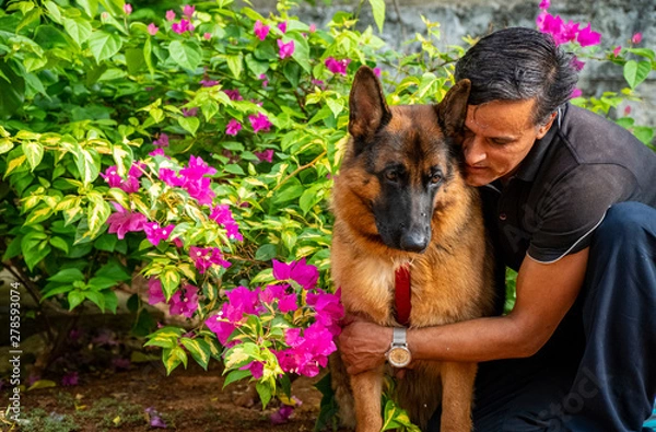 Obraz German Shepherd in Garden
