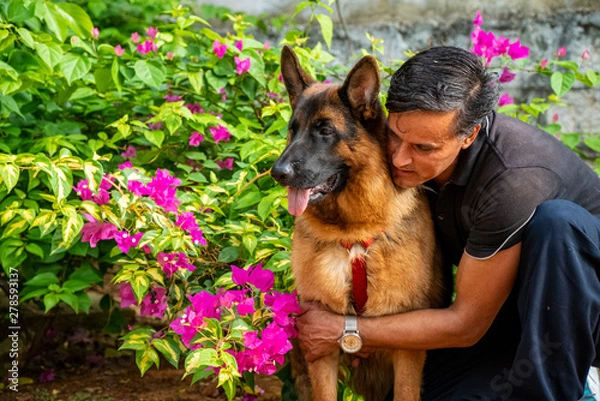 Obraz German Shepherd in Garden