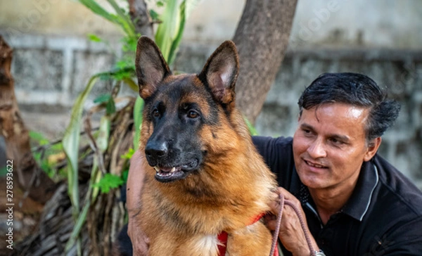 Obraz German Shepherd in Garden