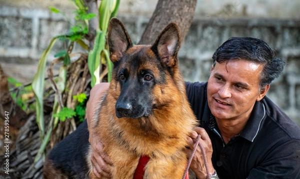 Obraz German Shepherd in Garden