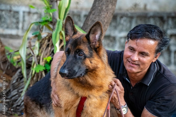 Obraz German Shepherd in Garden