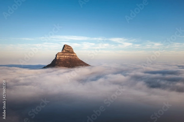 Obraz Lions head above the clouds