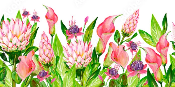 Fototapeta Gouache pink floral border with pink Protea, pink Calla, green leaves and Fuchsia flowers