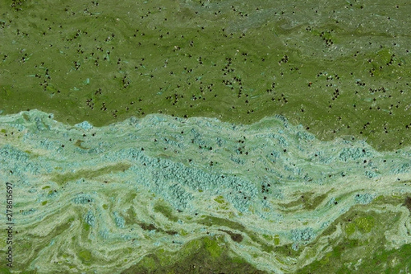 Fototapeta Cropped shot of dirty water, top view. Ecology, environmental pollution, nature concept. Abstract colorful background texture.