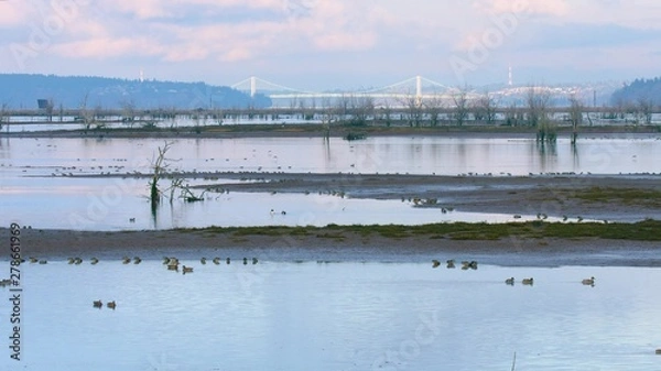 Fototapeta bridge over river