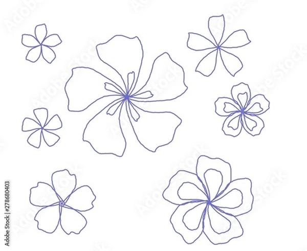 Fototapeta flower B1